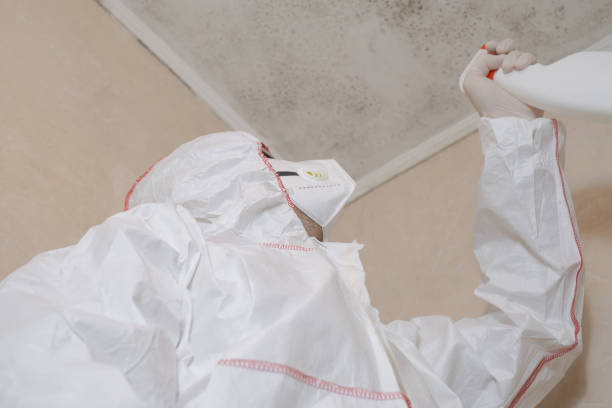 Mold Removal Process in Sheboygan Falls, WI